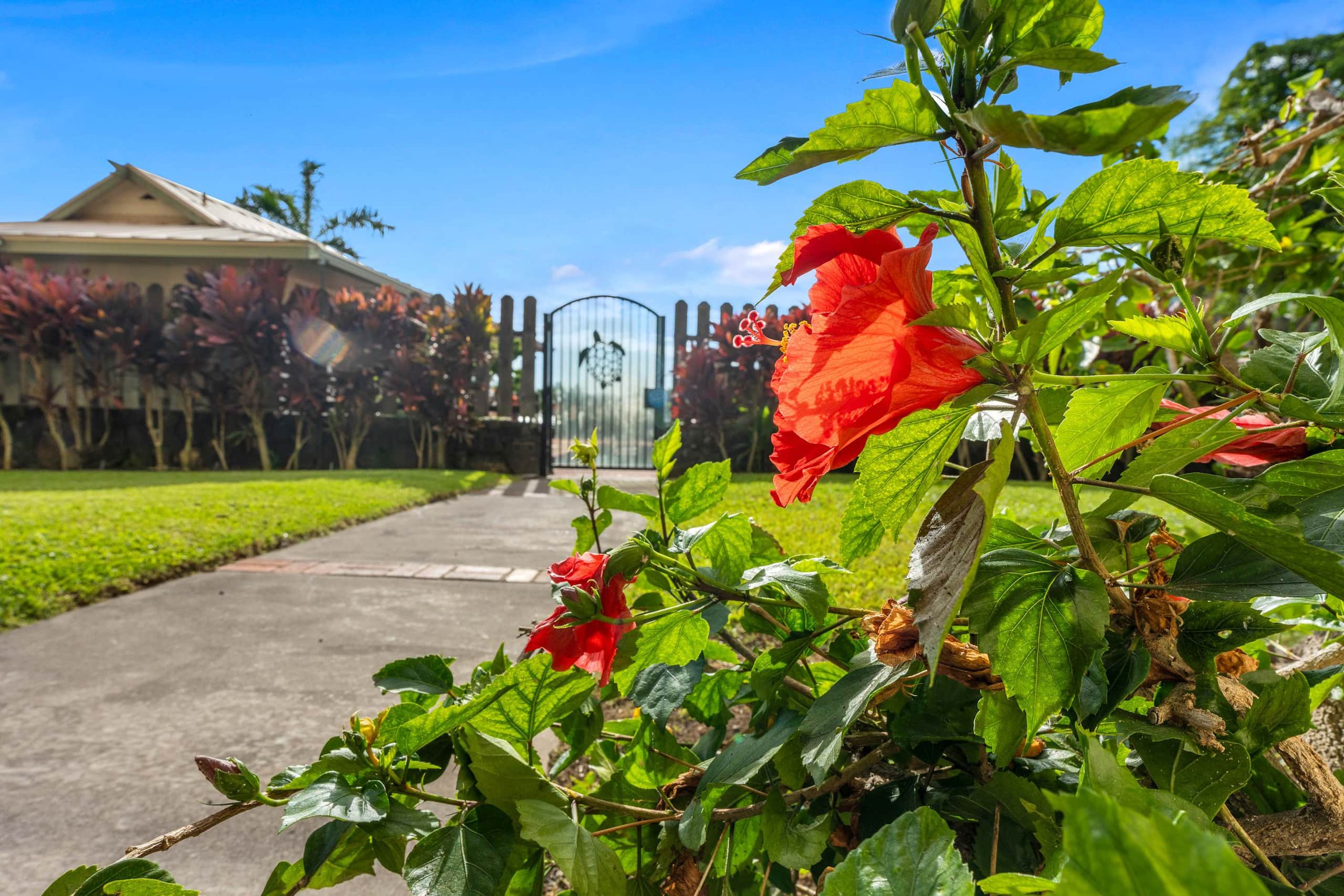 Condo in Kailua-Kona · ★4.9 · 2 bedrooms · 4 beds · 2 private baths - Image 63