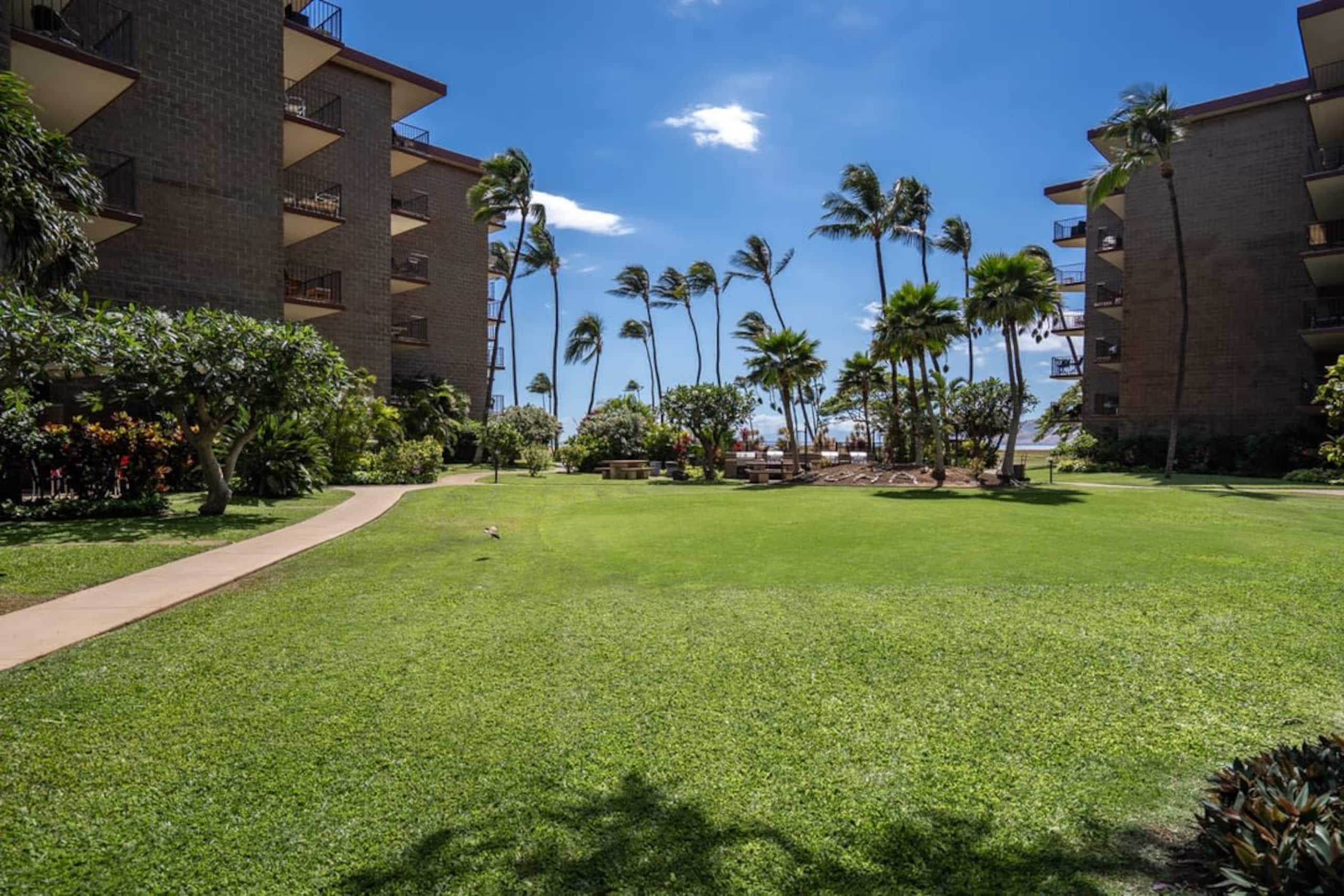 Condo in Kihei · ★4.94 · 1 bedroom · 2 beds · 1 private bath - Image 24