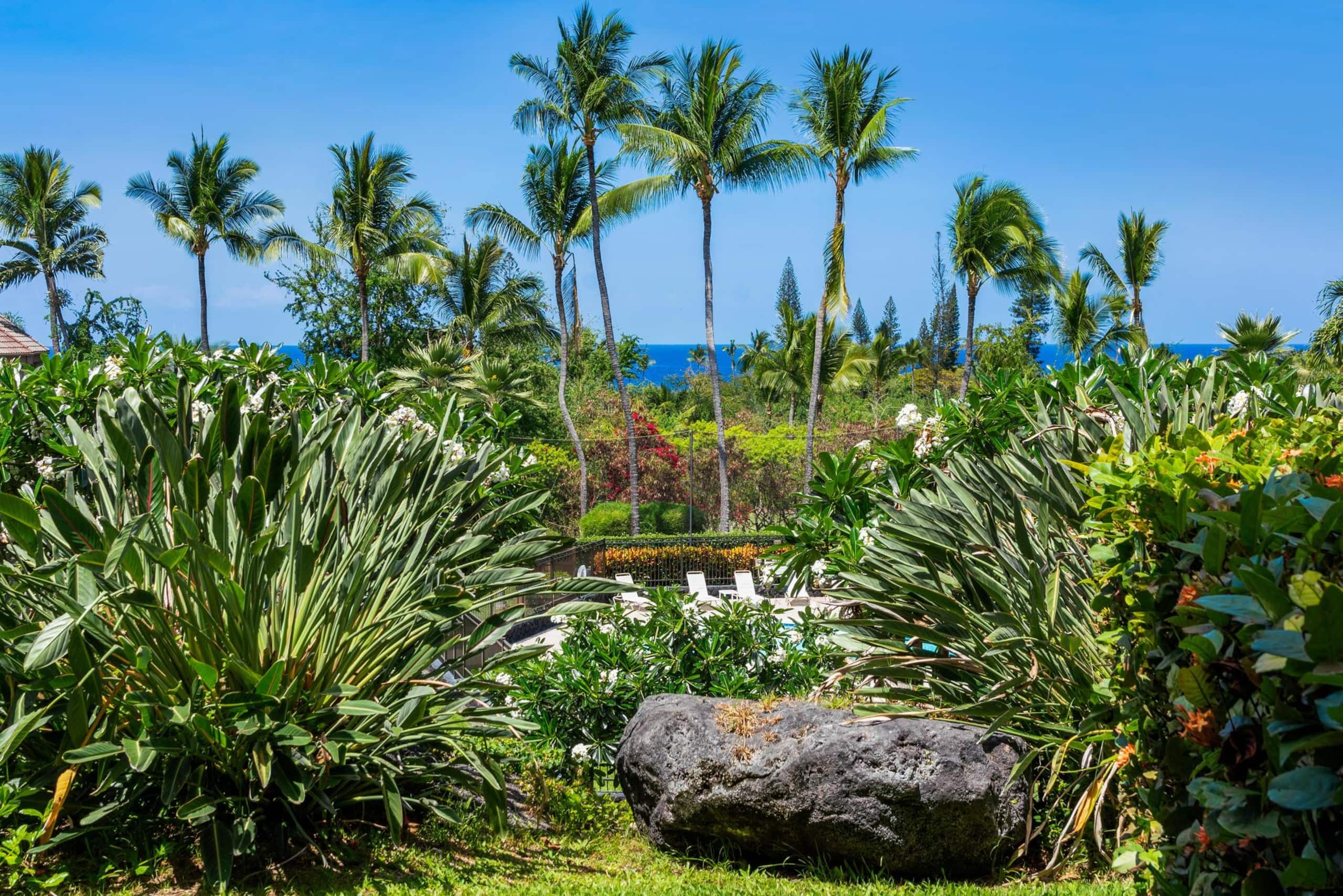 Condo in Kailua-Kona · ★4.79 · 2 bedrooms · 3 beds · 2 shared baths - Image 23