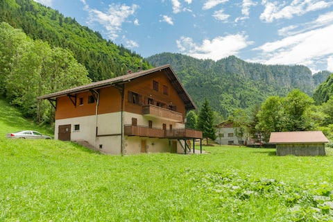 Large apartment near Gd Bornand