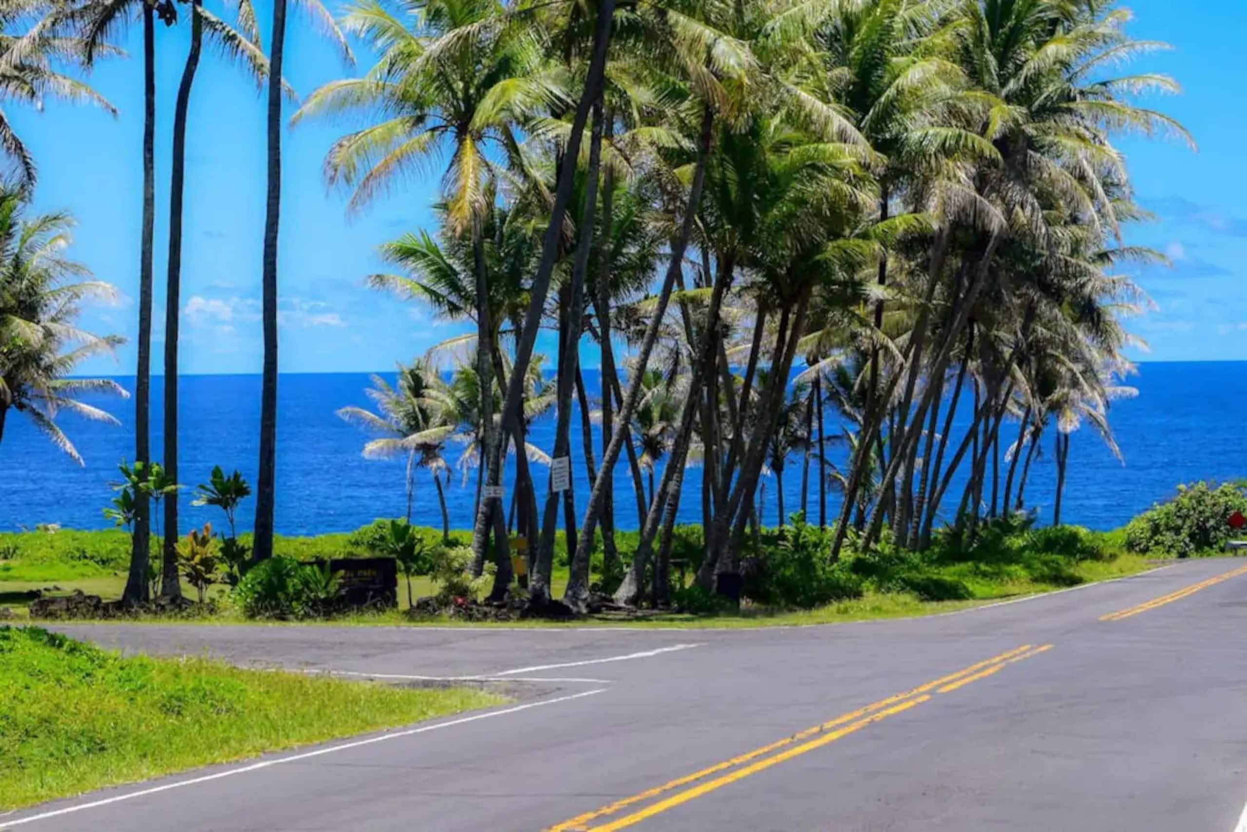 Home in Pahoa · ★4.78 · 3 bedrooms · 4 beds · 2 private baths - Image 4