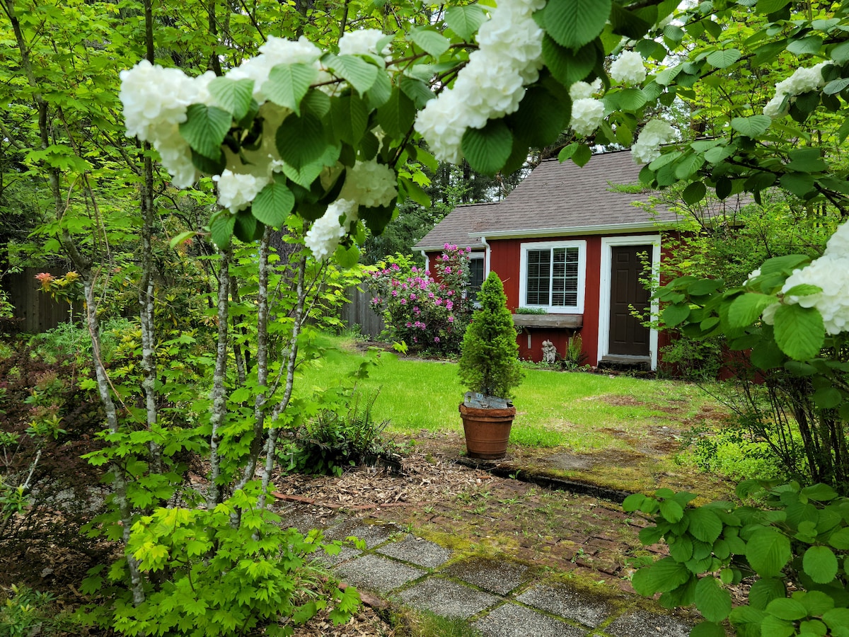 A charming red cabin is set amidst a lush garden filled with vibrant green foliage and blooming white flowers. A well-maintained pathway of stone leads to the cabin's door, surrounded by various shrubs and a potted plant, creating a serene outdoor environment.