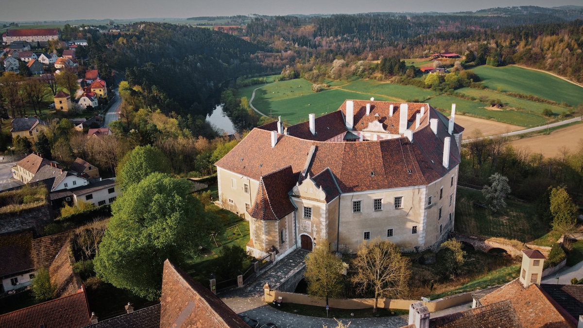 The castle is set within a lush landscape, surrounded by greenery and rolling hills. A serene river appears in the background, while the structure displays a variety of rooflines and chimney stacks. The setting evokes a sense of historical significance and tranquility.