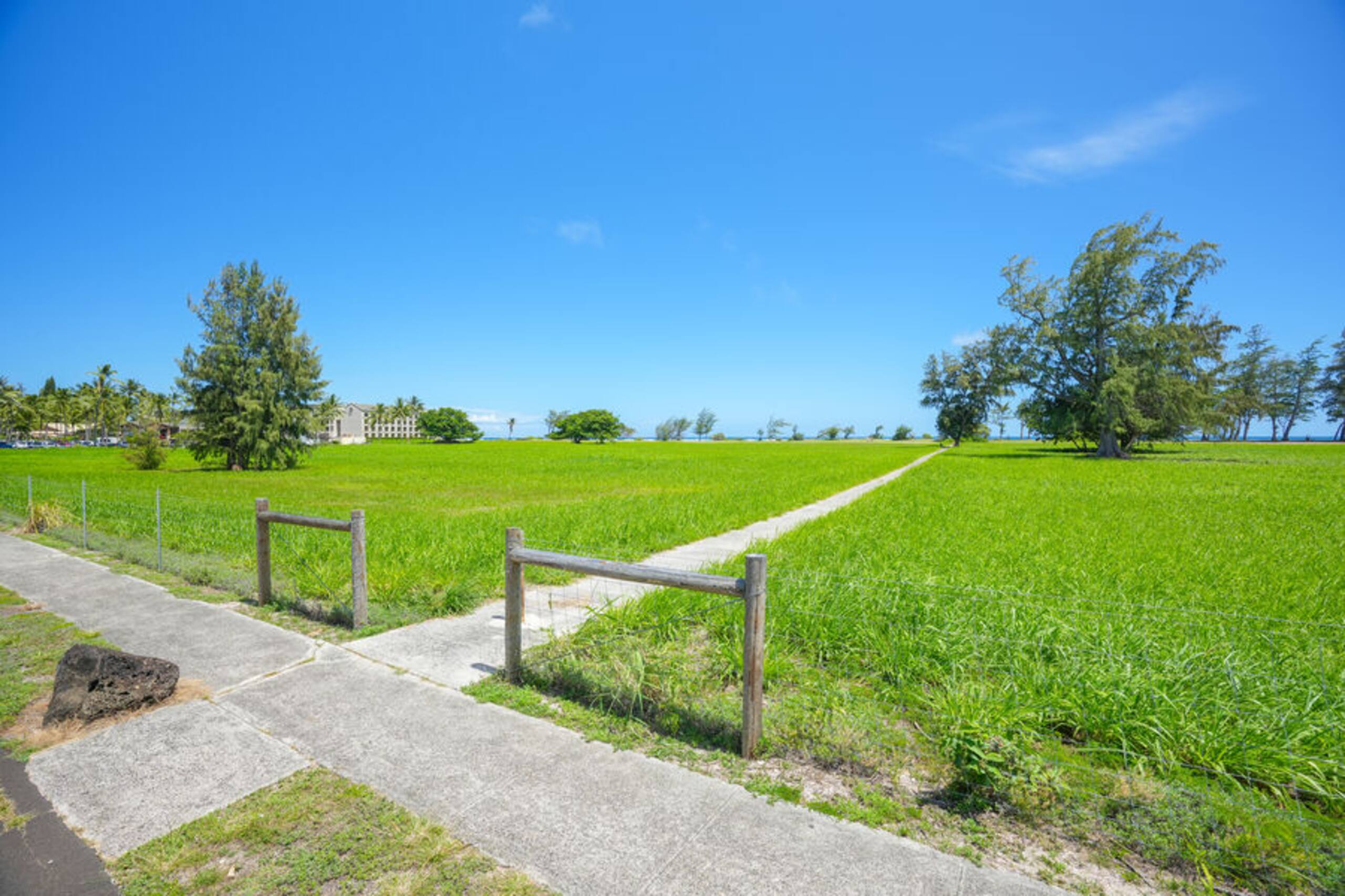 Condo in Kapaa · ★4.74 · 1 bedroom · 3 beds · 1 private bath - Photo 34