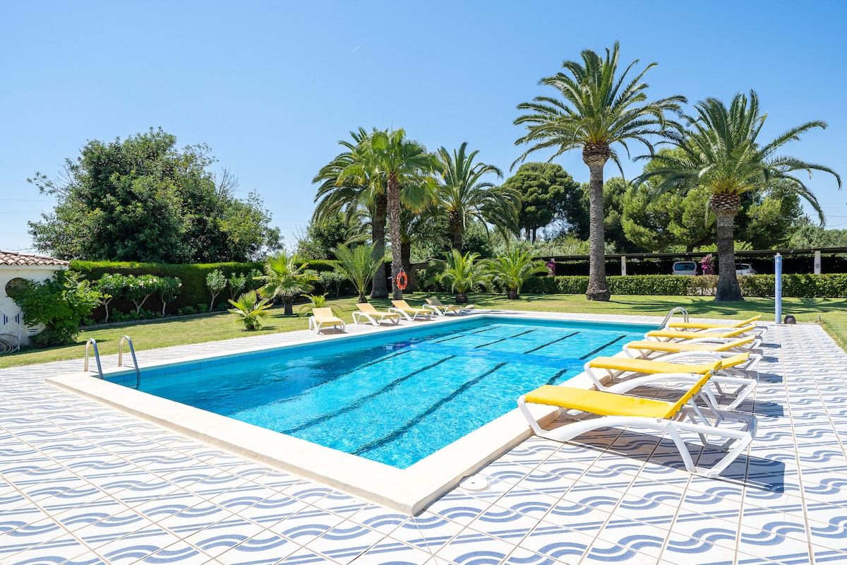 A clear blue swimming pool is surrounded by a tiled patio with several yellow lounge chairs. Lush palm trees and verdant shrubs provide natural shade and privacy, creating a serene outdoor space for relaxation and enjoyment.