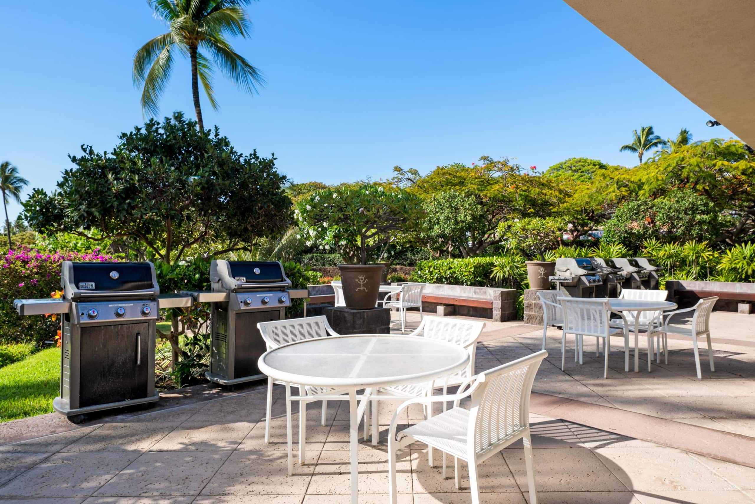Includes Beach Gear A204 Vista Waikoloa - Photo 29
