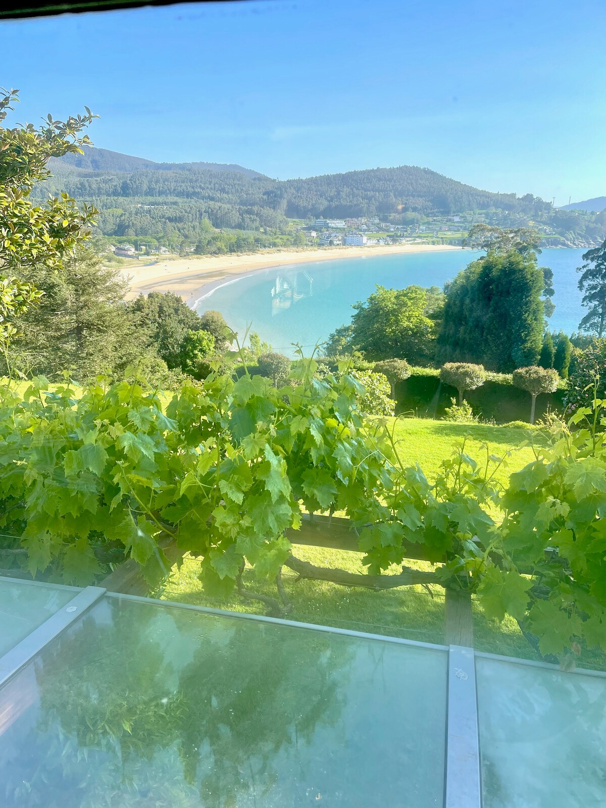 A panoramic view captures the coastline, revealing a serene beach surrounded by lush greenery and gentle hills. Clear blue waters reflect the sky, while vibrant grapevines in the foreground add a touch of natural beauty to the scene.