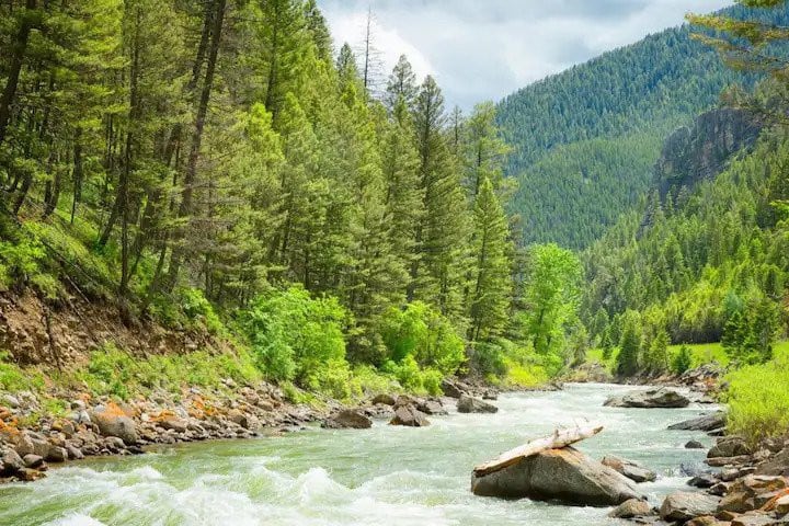 Gallatin River cabin w/fly fishing access, firepit - Houses for Rent in  Gallatin Gateway, Montana, United States - Airbnb