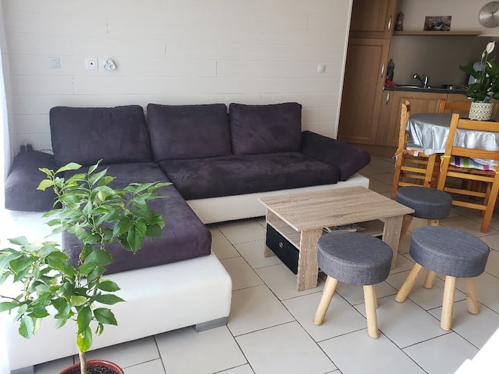 Appartement T3 Climatisé Avec Parking Privatif Pro - Saint-Cyprien