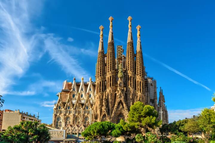 Sweett | Palau III gallery image 4