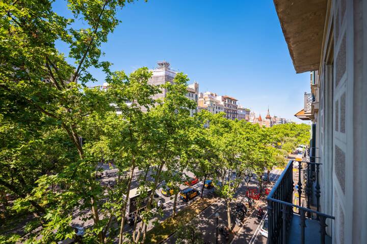 Sweett | Palau III gallery image 5