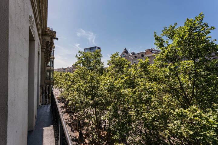 Sweett | Palau IV gallery image 3