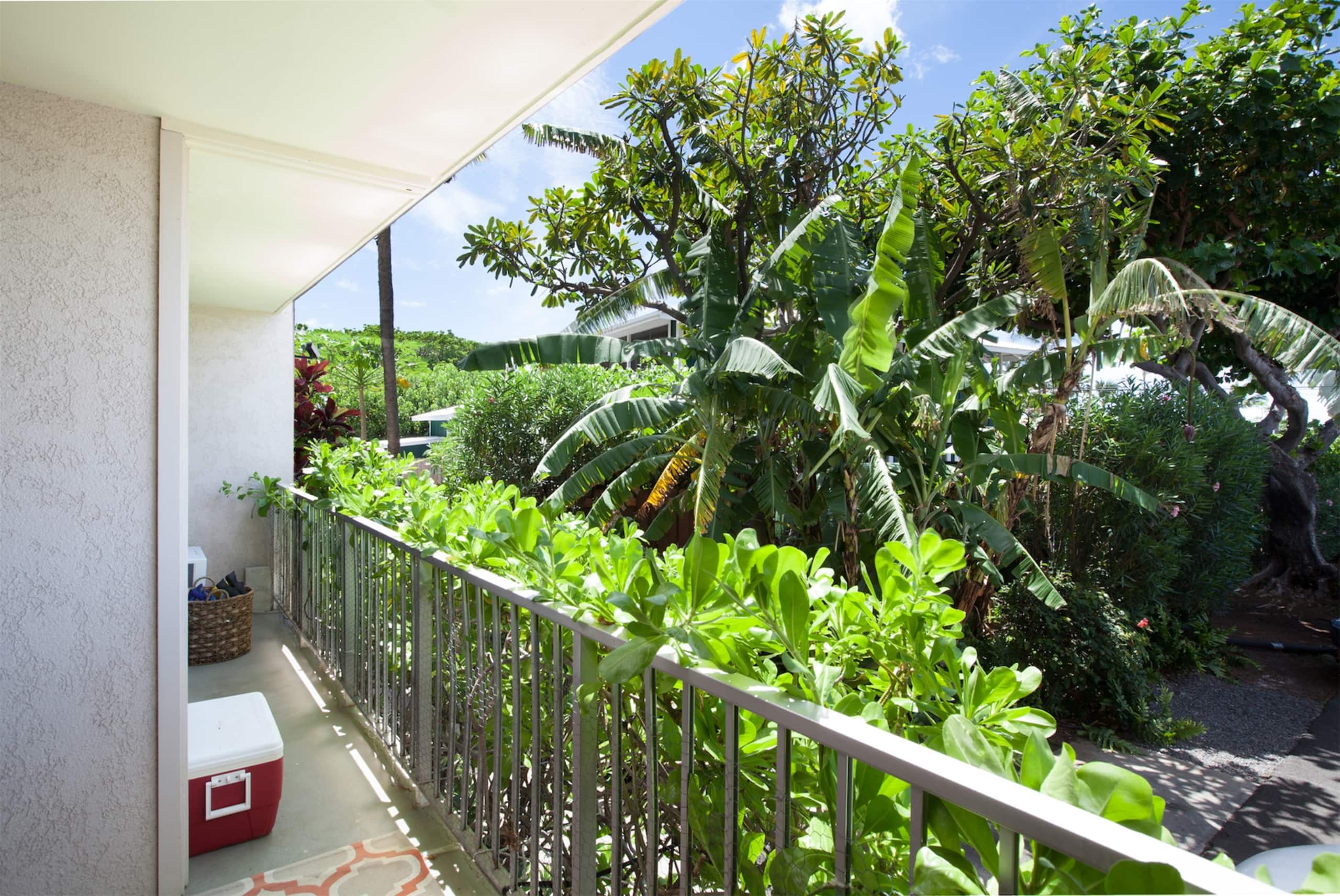 Condo in Waimea · ★4.69 · 3 bedrooms · 4 beds · 2 private baths - Image 34
