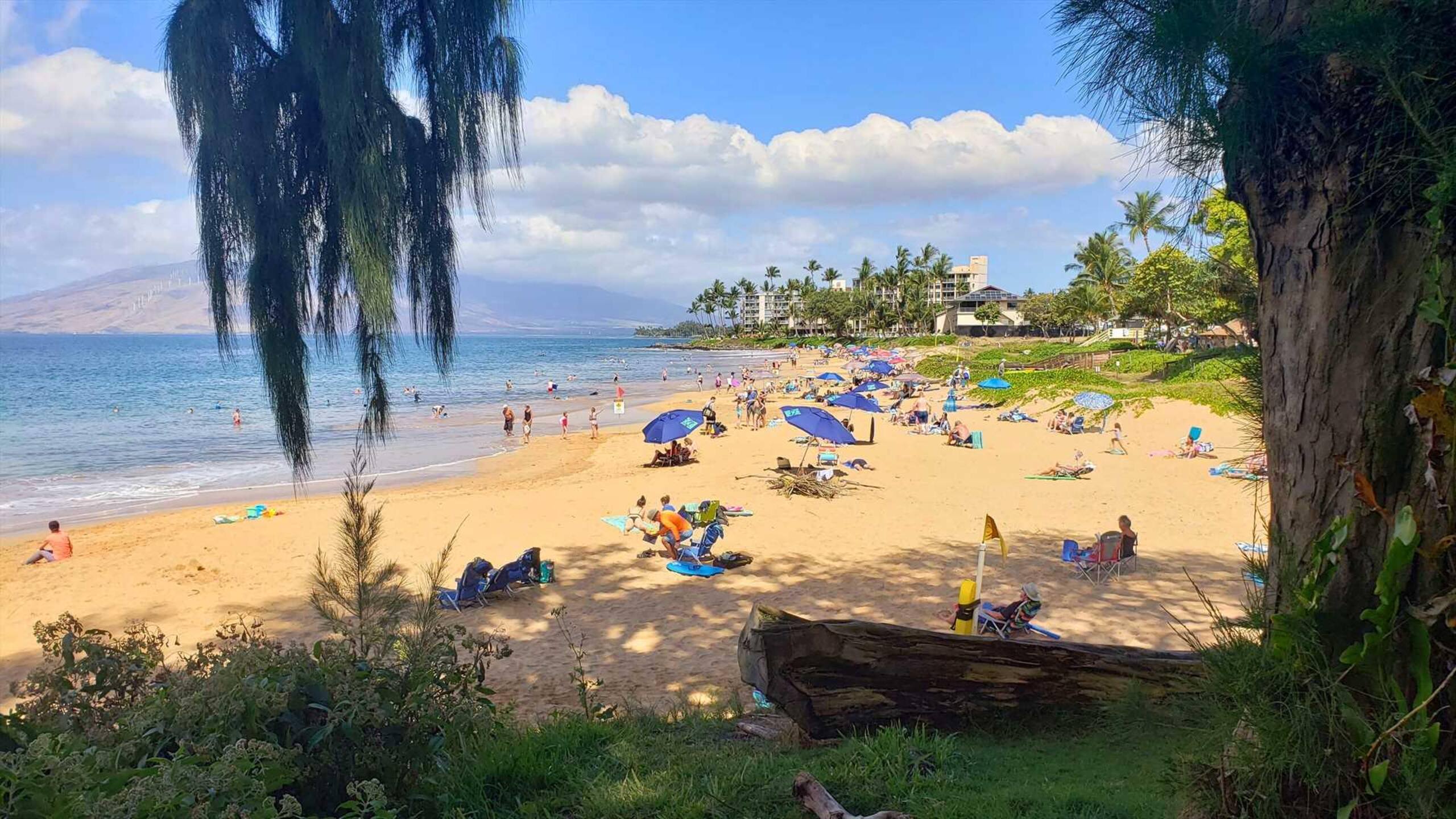 Condo in Kihei · ★5.0 · 1 bedroom · 1 bed · 1 private bath - Image 39