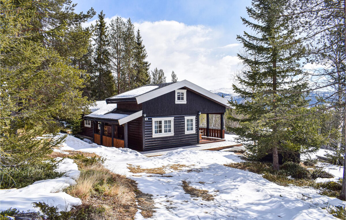 A modern black house is surrounded by snow-covered ground and tall evergreen trees. The structure features large windows and a covered porch that offers views of the natural landscape. Sunny skies can be seen in the background, highlighting the serene rural setting.