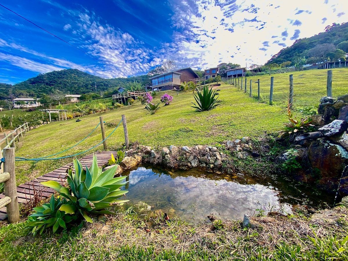 A serene outdoor area features a small pond surrounded by greenery and vibrant plants. A pathway is visible leading to the structure in the background, framed by lush hills under a beautifully patterned sky.