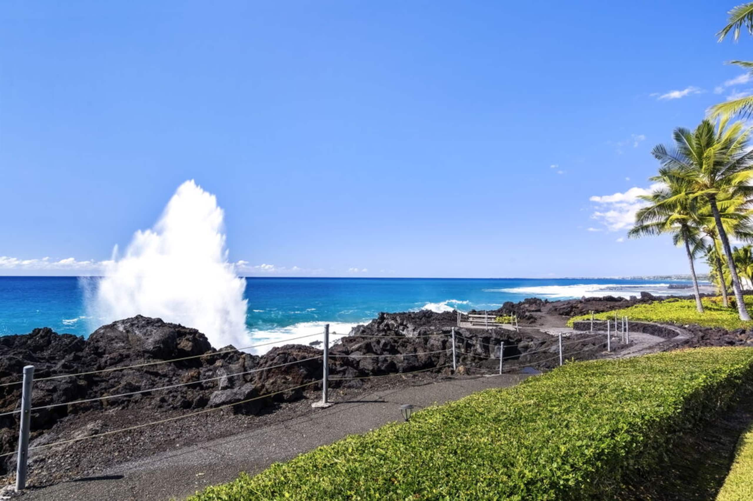 Townhouse in Kailua-Kona · ★4.69 · 2 bedrooms · 3 beds · 2 baths - Image 39