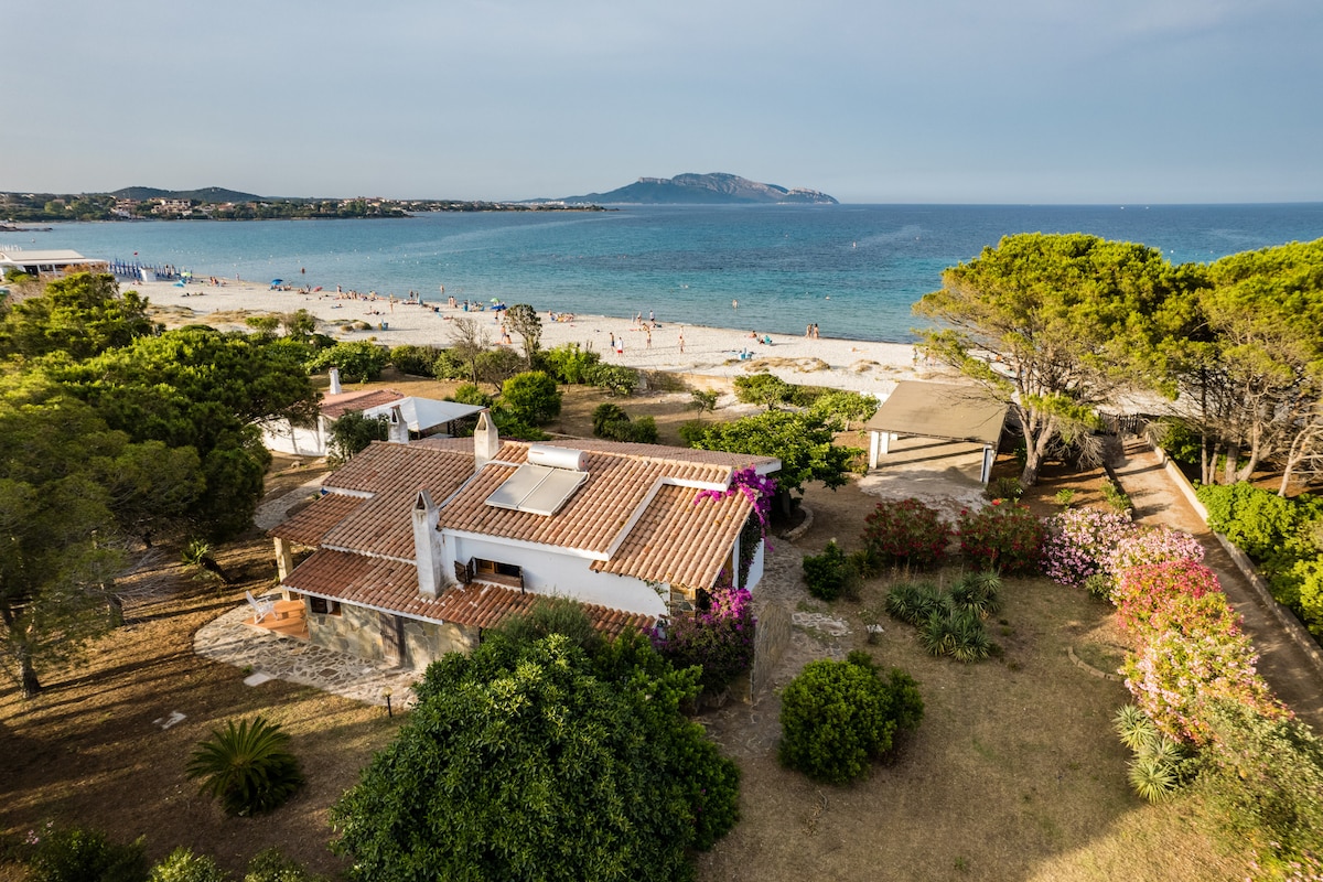 An aerial view captures Villa Bay Pine, surrounded by lush greenery and blooming flowers. The sandy Pittulongu beach is visible nearby, with a calm sea meeting the shore. In the distance, a scenic coastal landscape and hill enhance the tranquil setting.