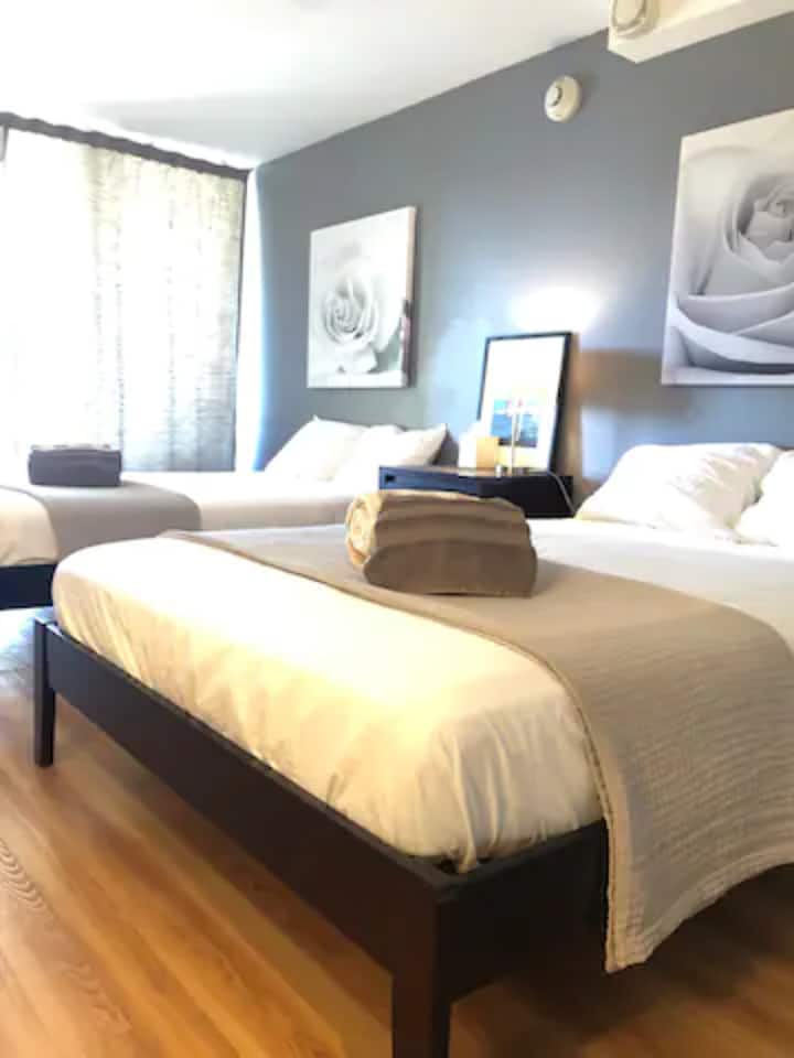 Island Colony Studio- 2 Queen Beds - Honolulu, HI