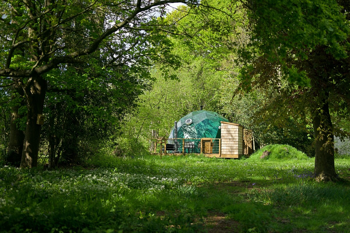 A luxury dome is nestled among lush greenery, surrounded by trees and natural grassland. The dome features a wooden decking area, and the vibrant foliage creates a serene, natural setting, inviting a peaceful outdoor atmosphere for guests to relax.