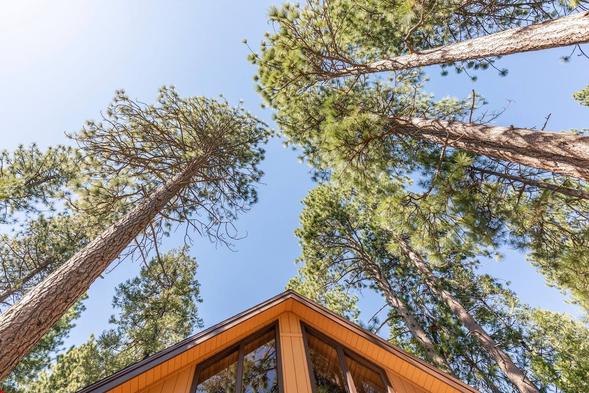 The A-frame cabin’s exterior is showcased from below, surrounded by towering pine trees. A clear blue sky is visible above, emphasizing the natural setting. The warm wood tones of the cabin contrast with the greenery, creating a welcoming atmosphere.