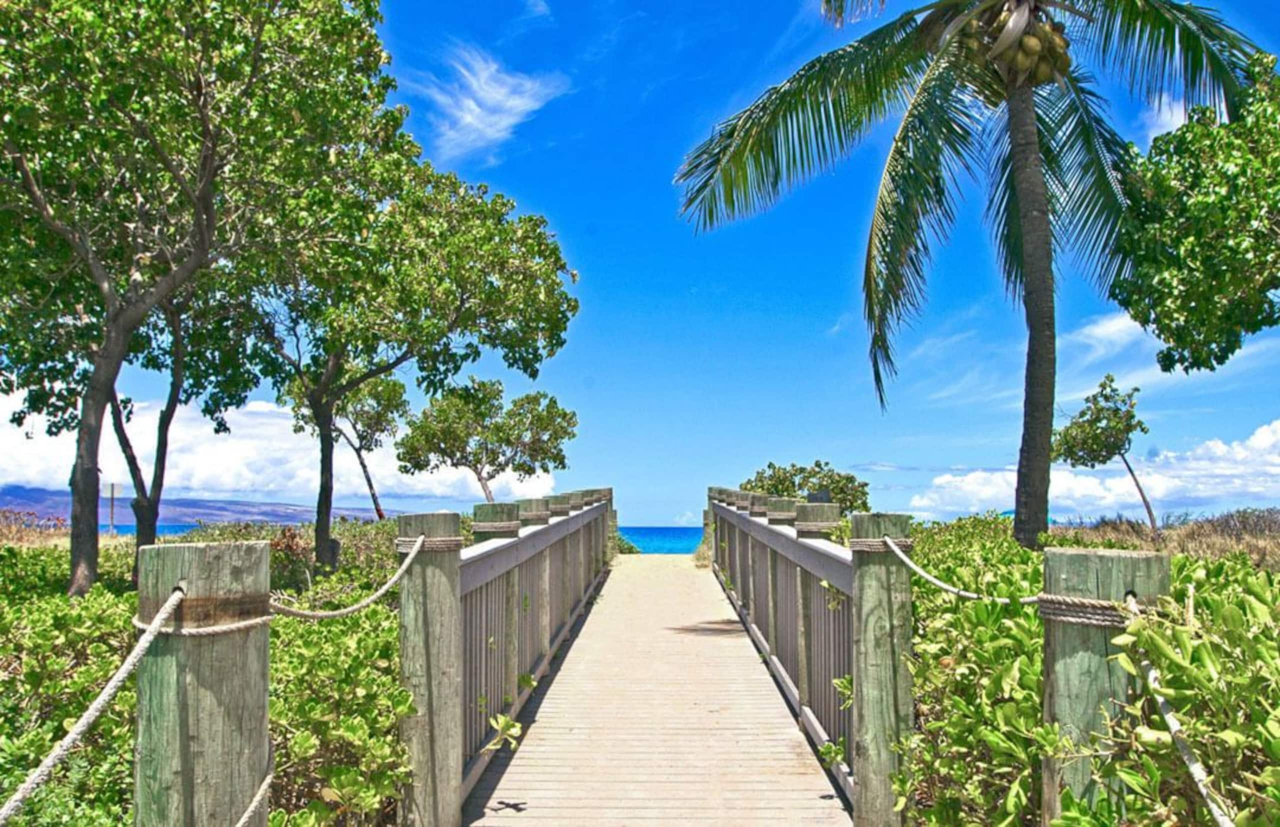 Condo in Lahaina · ★4.96 · 1 bedroom · 3 beds · 1 shared bath - Image 37