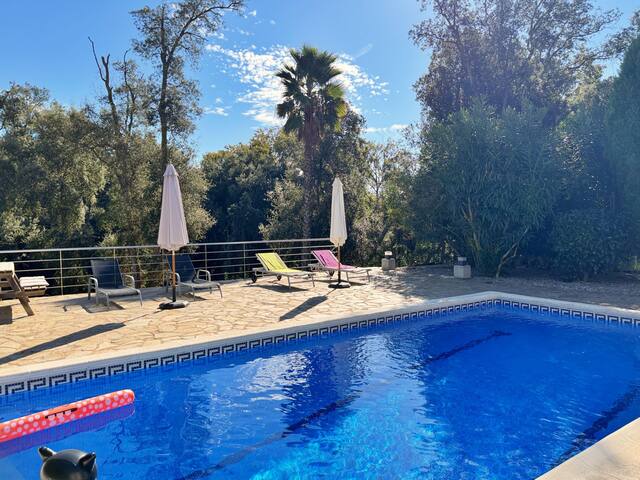 Maravilla gallery image 3