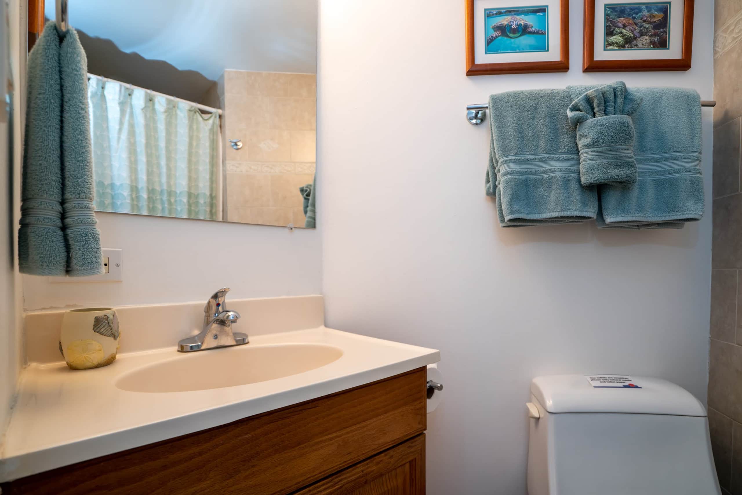 Condo in Kihei · ★4.82 · 1 bedroom · 2 beds · 2 shared baths - Image 31