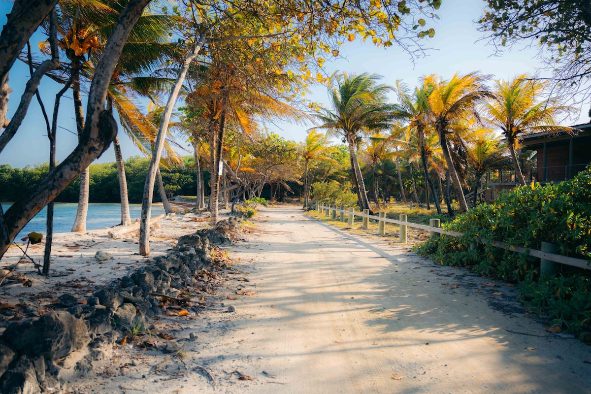 A sandy path lined with palm trees leads through a tropical landscape, showcasing a mix of greenery and golden foliage. The tranquil coastline is visible to the left, framed by natural rock formations and wooden fencing.