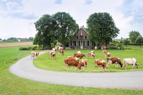 2 bedroom apartment (4-6 people)