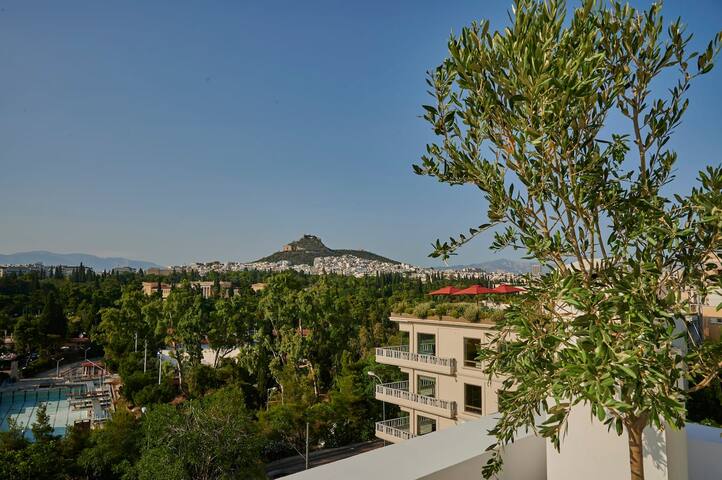 Ma Maison Acropolis Mansion, Suite N°7,Roof Garden gallery image 5