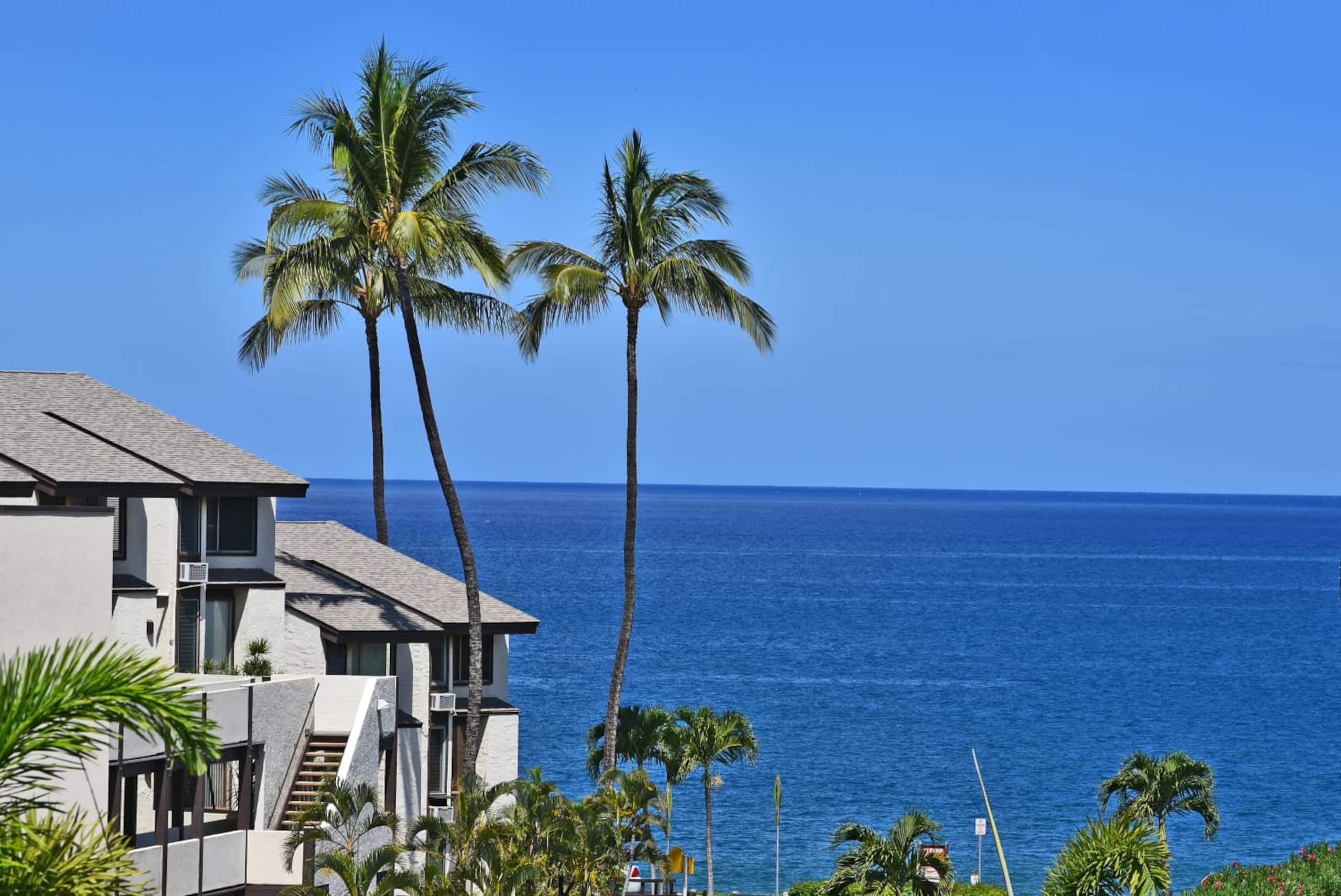 Condo in Kihei · ★4.84 · 1 bedroom · 2 beds · 2 private baths - Image 26