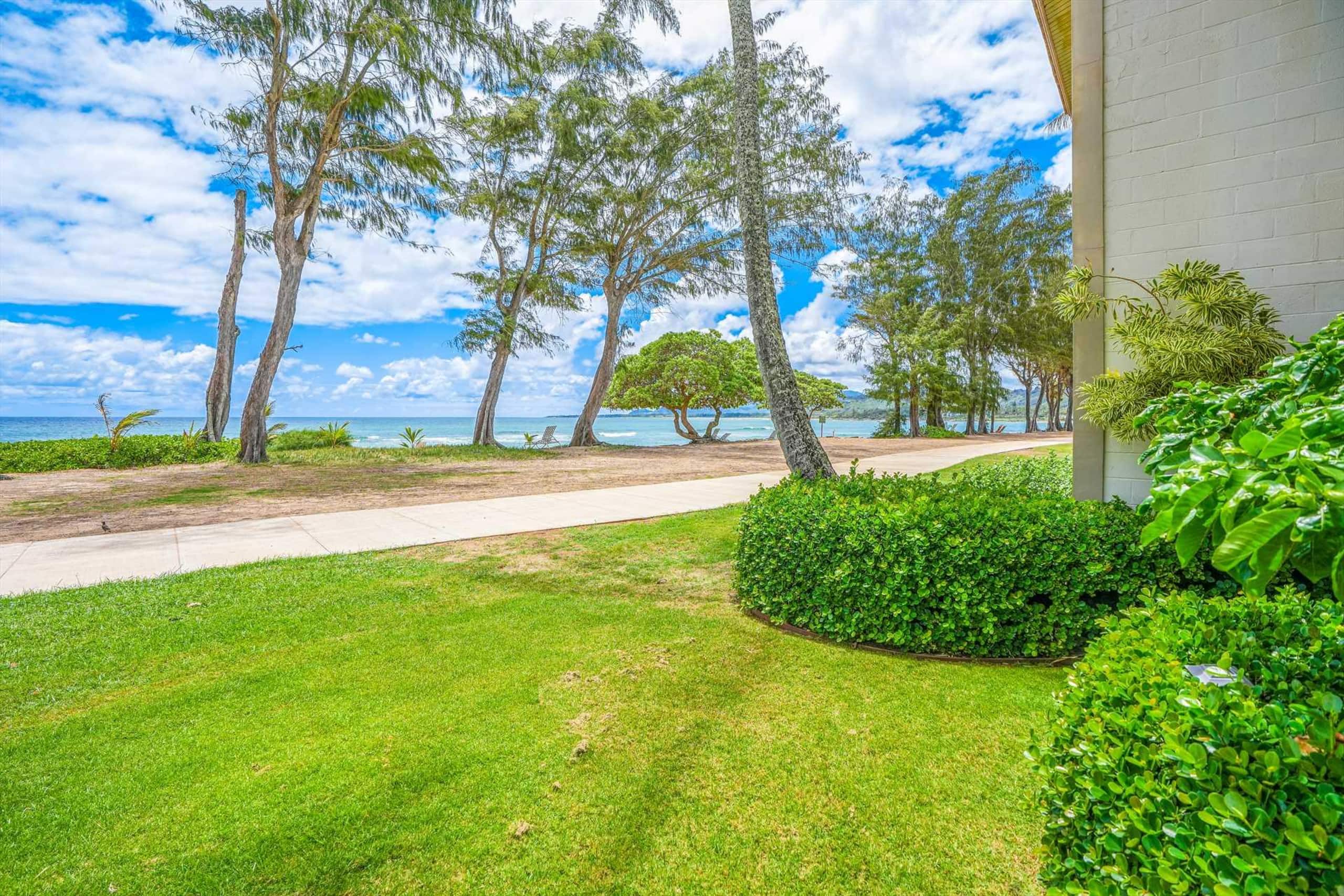 Islander on the Beach 151 Direct Oceanfront Studio - Photo 16