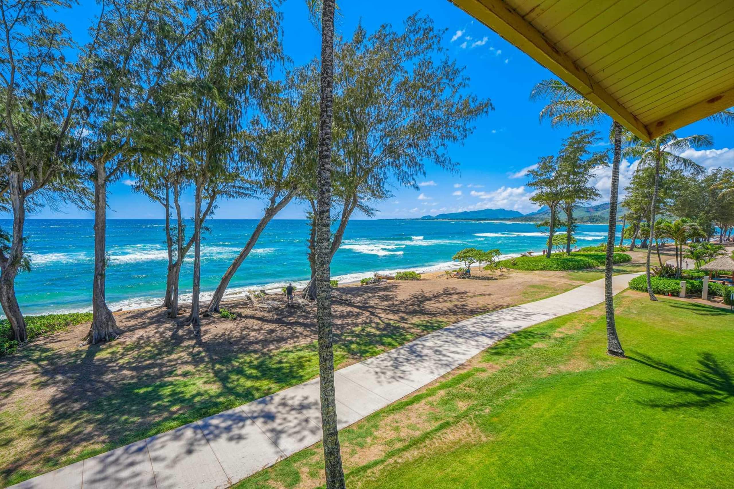 Islander on the Beach 328 Oceanfront Studio - Photo 3