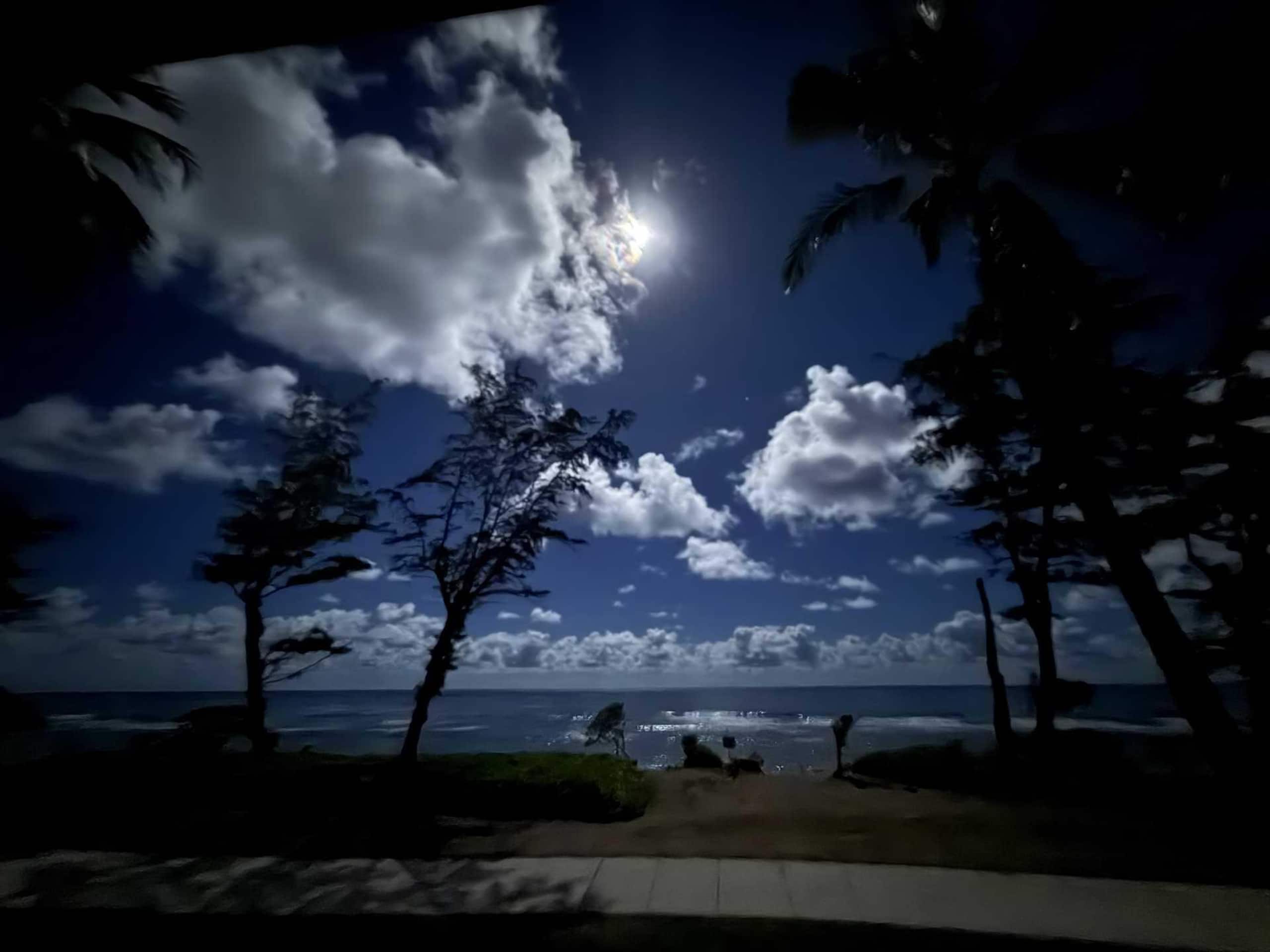 Oceanfront Ocean View Studio | King Bed | Split AC - Photo 19