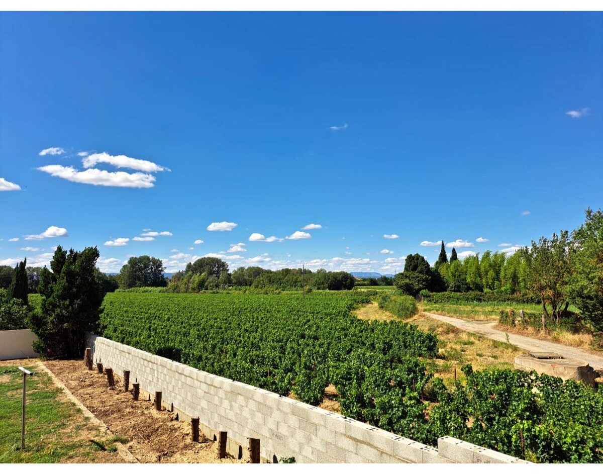 A sweeping view of lush green vineyards stretches across the landscape, framed by a clear blue sky dotted with white clouds. The vineyard rows extend towards the horizon, with a dirt path visible among surrounding trees, creating a serene rural atmosphere.