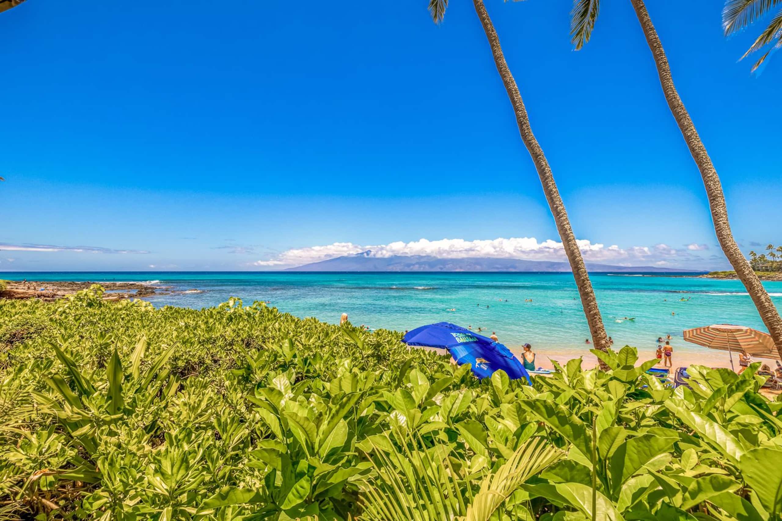 Condo in Lahaina · ★5.0 · 1 bedroom · 2 beds · 1 bath - Image 14
