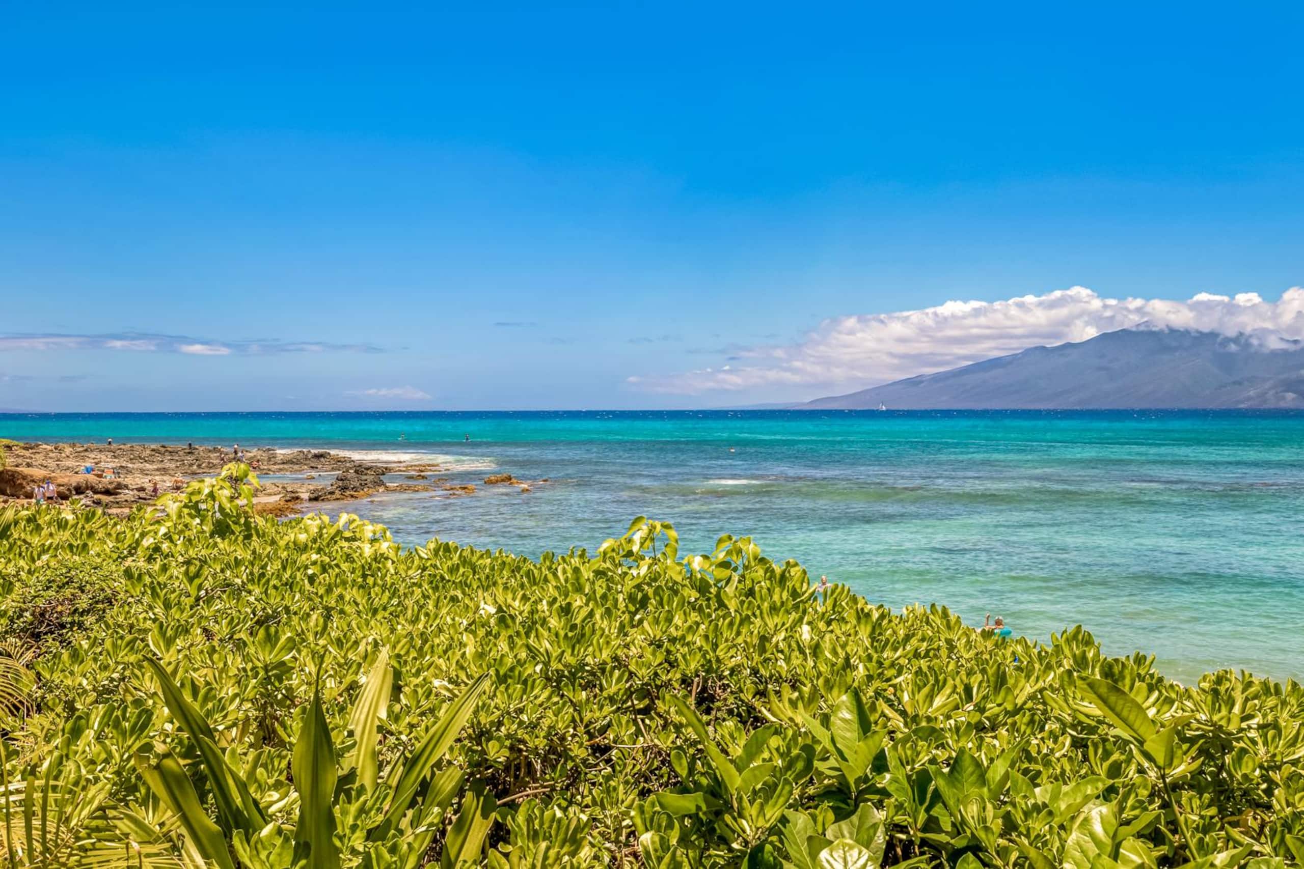 Condo in Lahaina · ★5.0 · 1 bedroom · 2 beds · 1 bath - Image 13