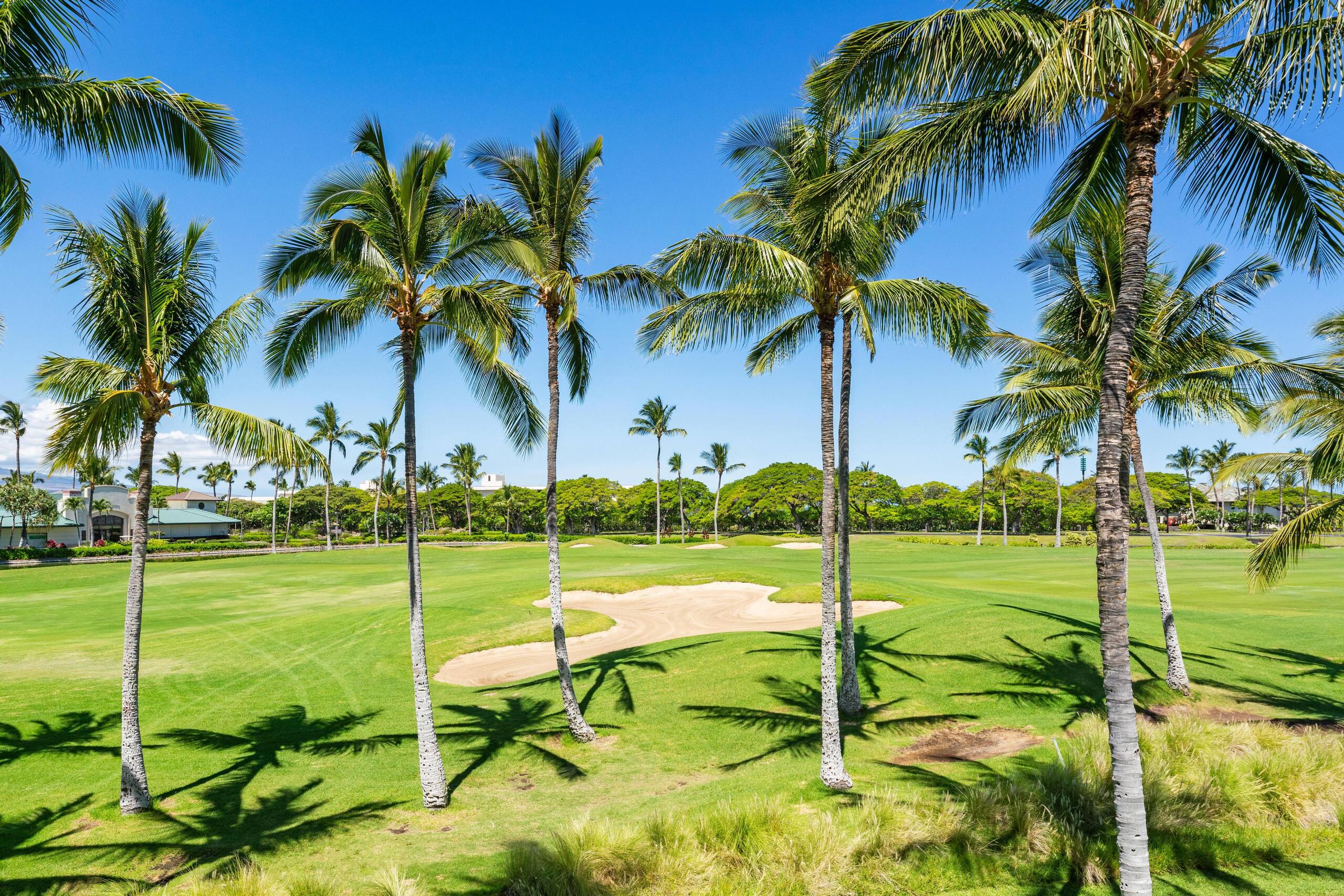 Hilton Pool Pass 2026. J23 Waikoloa Fairway - Photo 48