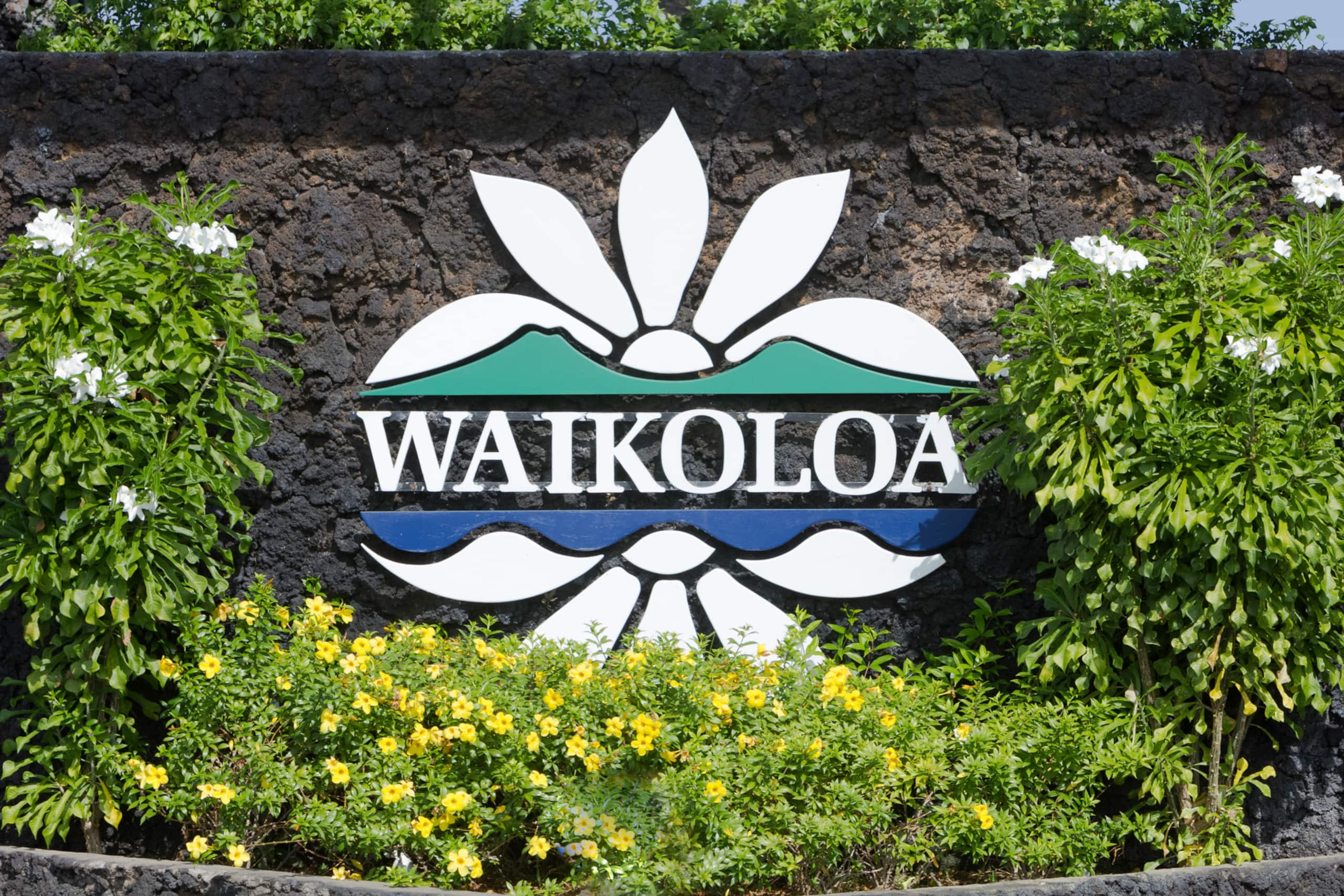 Hilton Pool Pass 2026. J23 Waikoloa Fairway - Photo 50