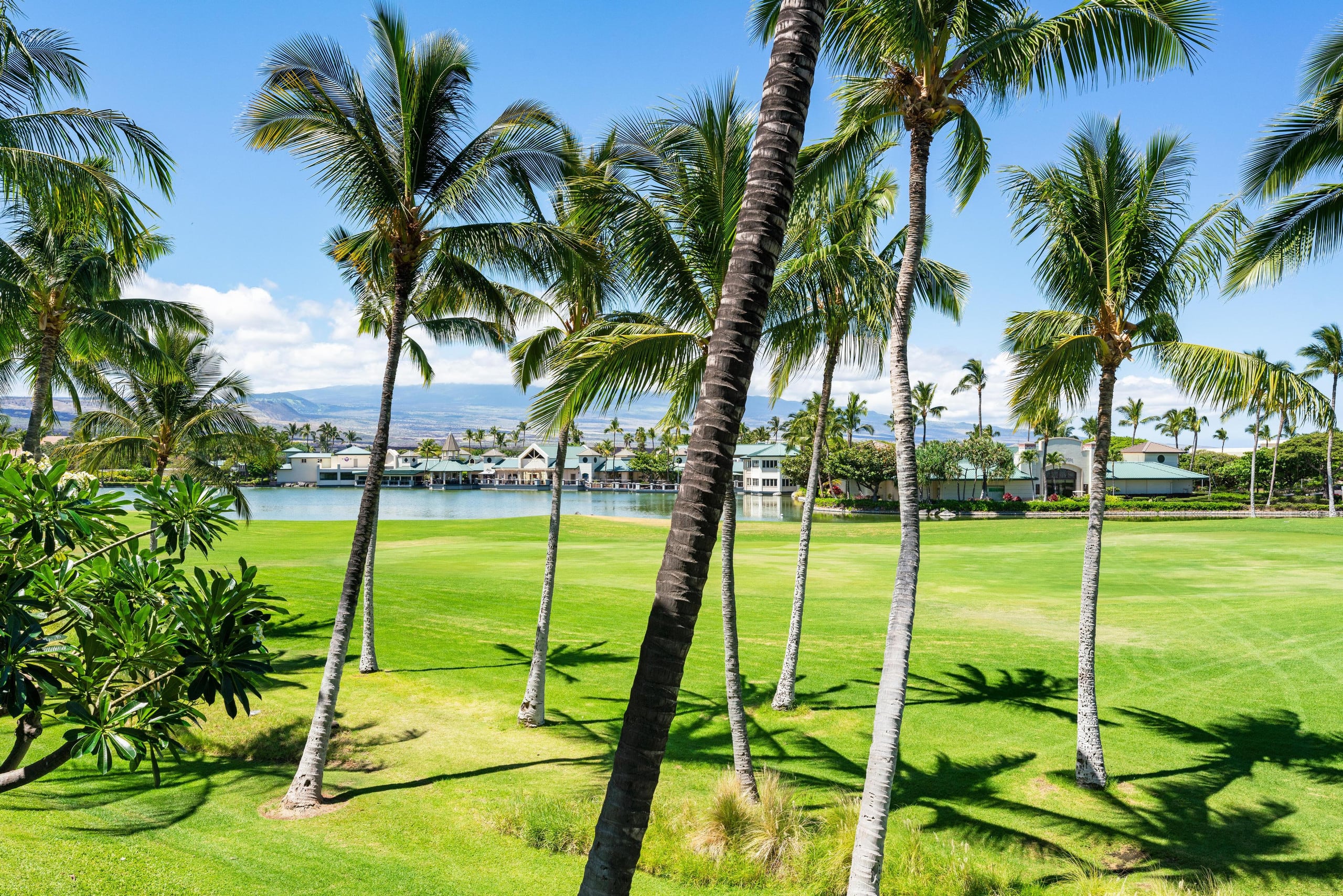 Hilton Pool Pass 2026. J23 Waikoloa Fairway - Photo 47