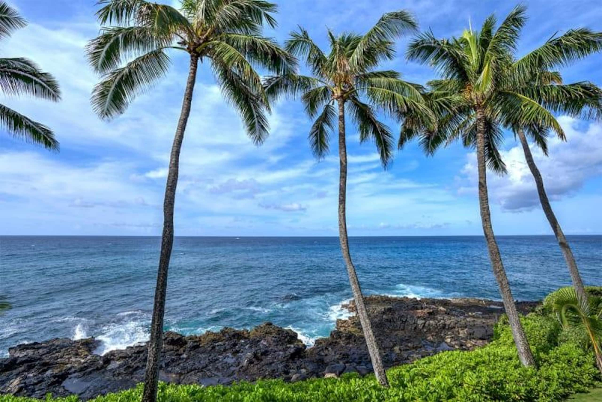 Condo in Koloa · ★4.75 · 2 bedrooms · 3 beds · 2 baths - Image 49