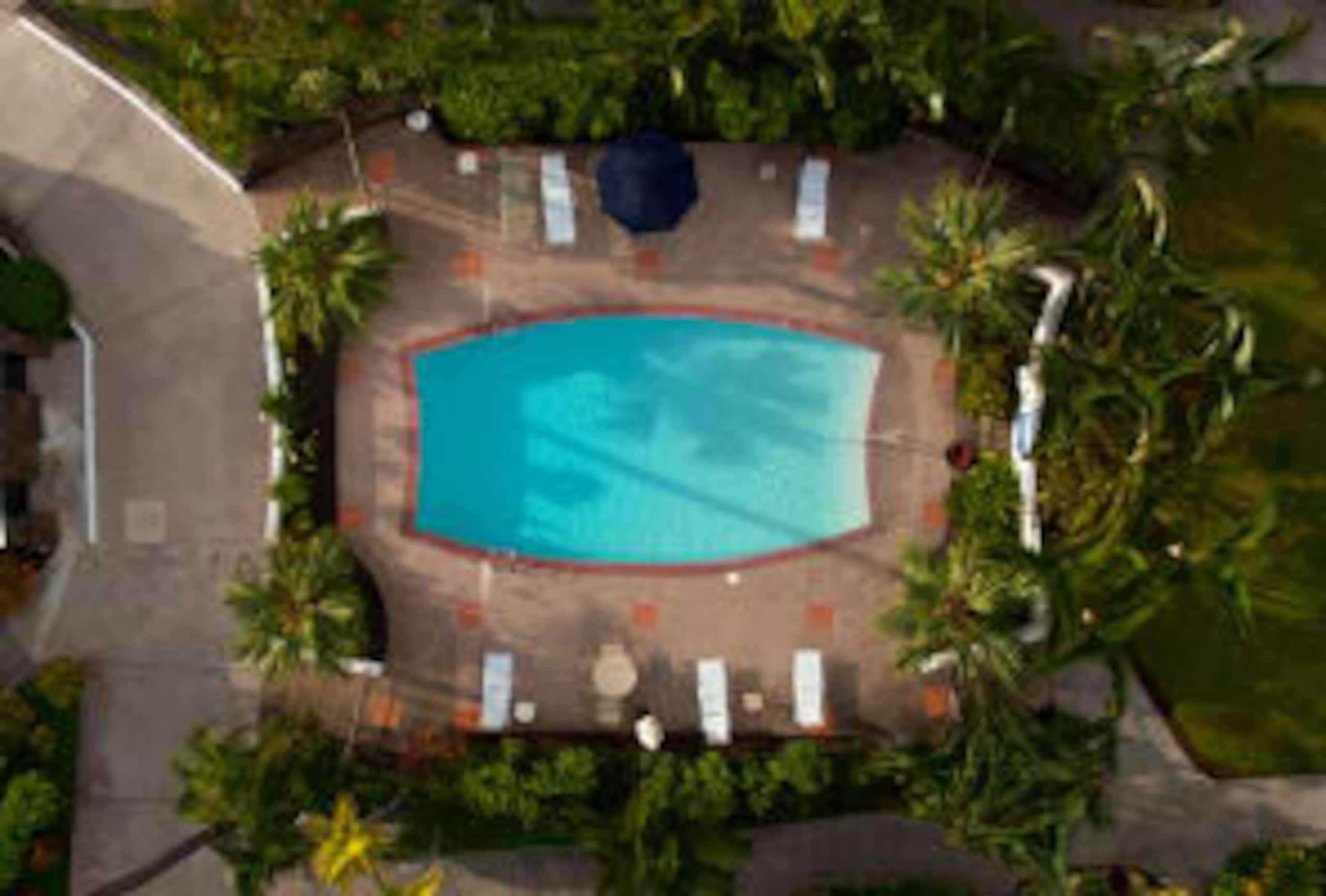 Condo in Kailua-Kona · ★4.92 · 1 bedroom · 2 beds · 1 private bath - Image 19