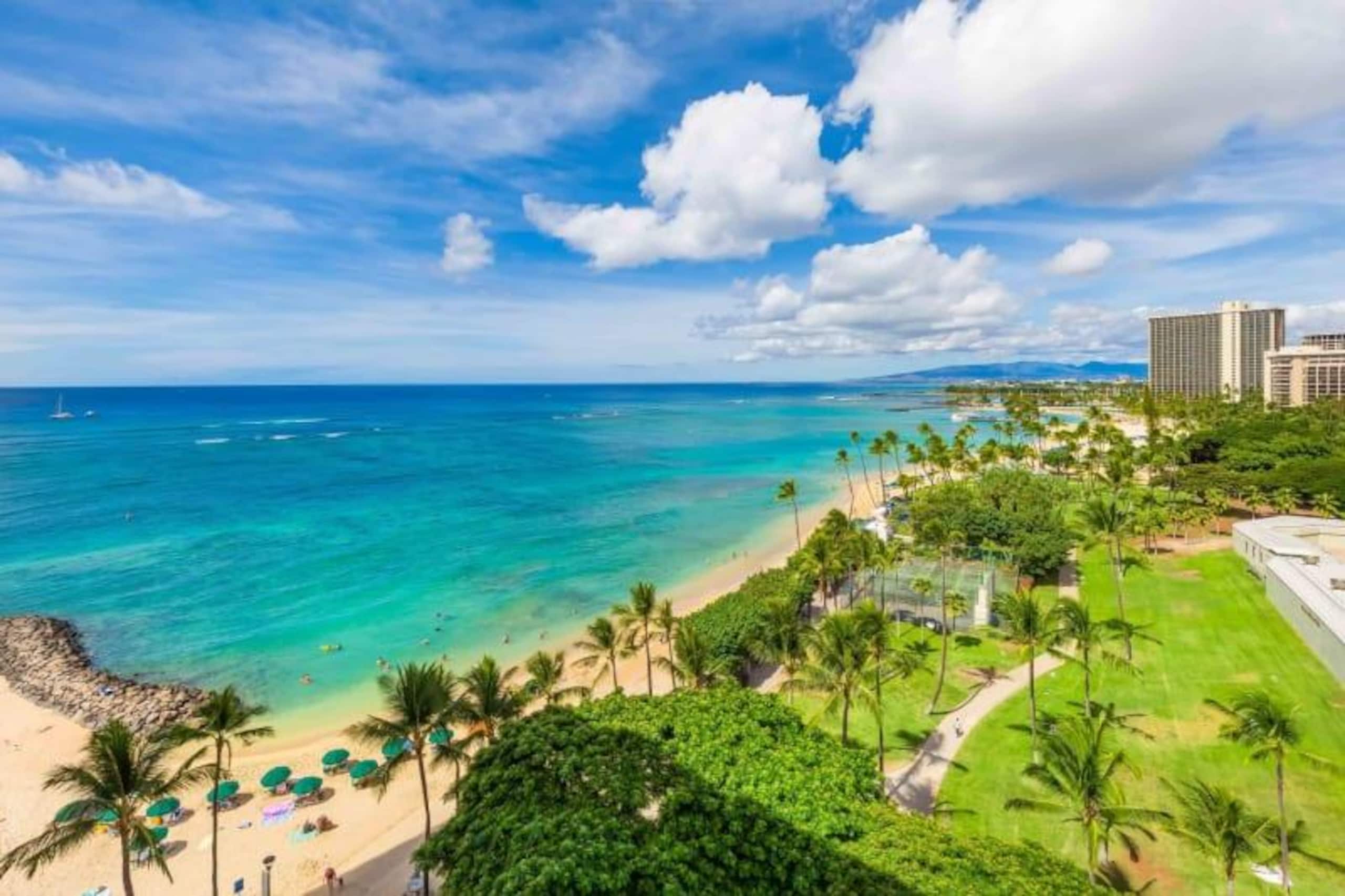 Condo in Honolulu · ★4.89 · 1 bedroom · 3 beds · 1 shared bath - Image 5