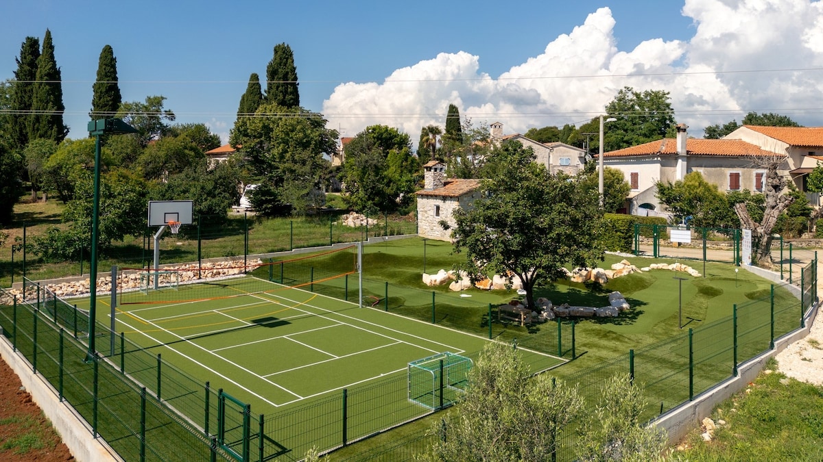 A multi-sport playground is showcased, featuring a well-maintained green court for various activities. Fenced areas surround the playground, and a large tree provides shade nearby. The backdrop includes traditional village architecture among lush greenery and a partly cloudy sky.