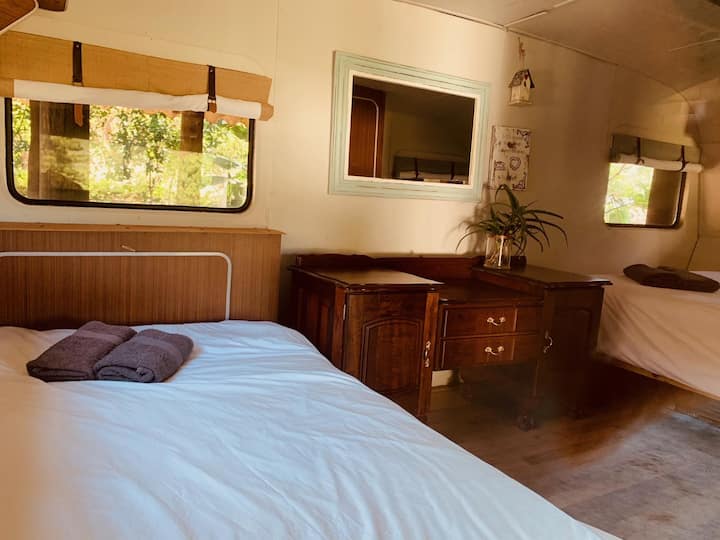 משפחה יחידה 6 (7 רדומים) תמונה 2