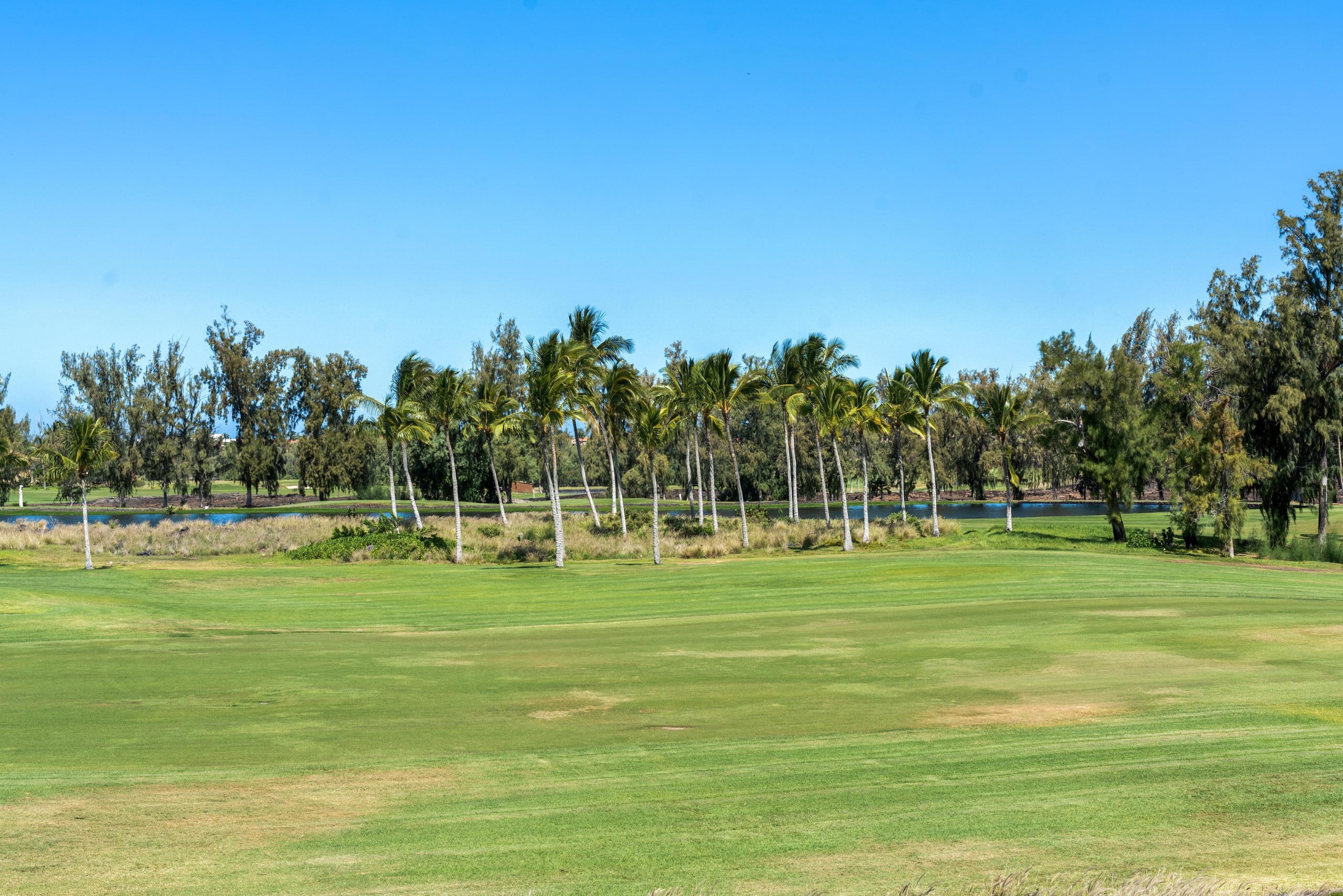 Hilton Pool Pass for 2026. M23 Waikoloa Beach - Photo 45