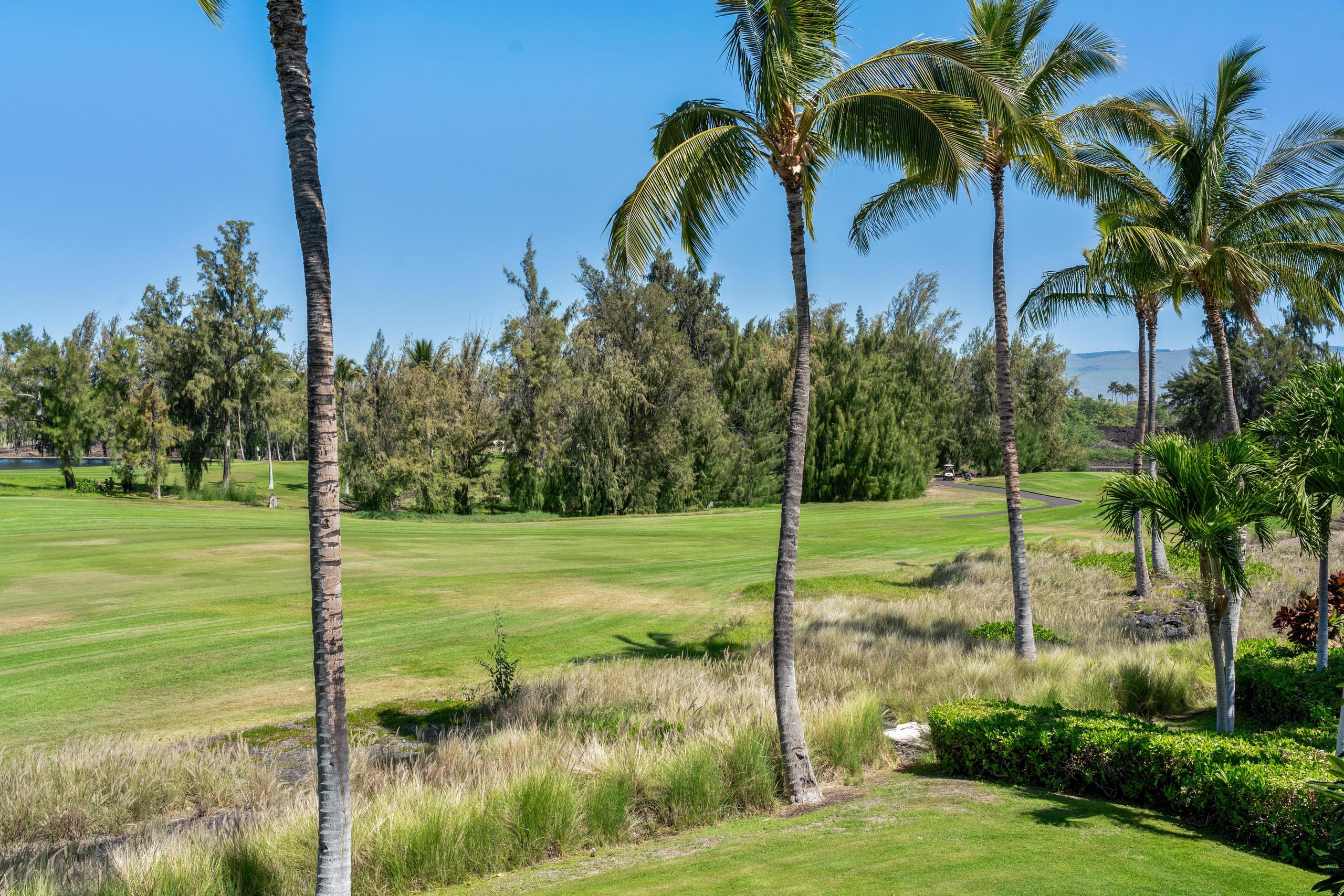 Hilton Pool Pass for 2026. M23 Waikoloa Beach - Photo 17