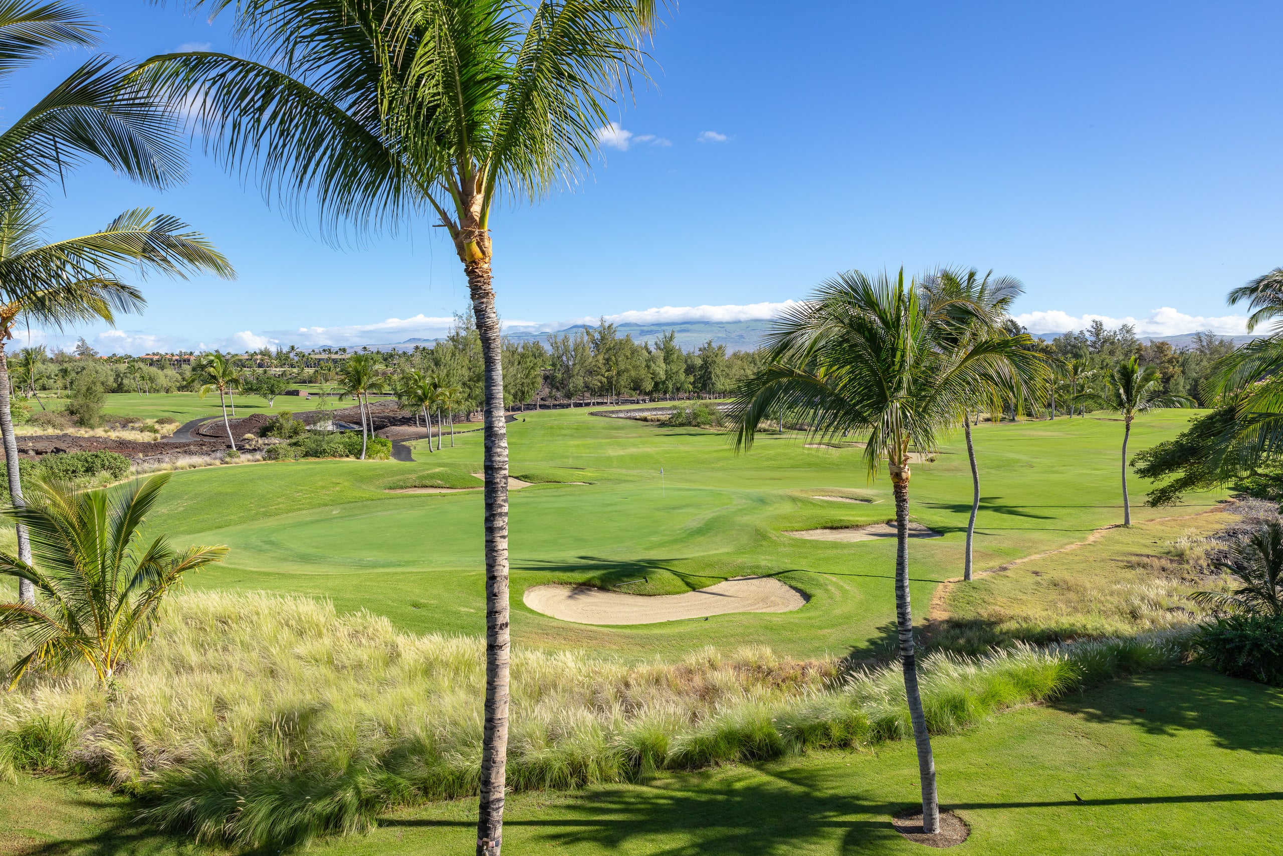 Includes Beach Gear Waikoloa Beach Villas G32 - Photo 31
