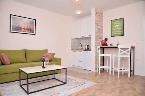 Apartments Siesta - One Bedroom Apartment with Balcony A2